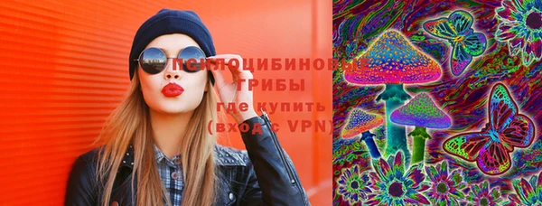 прущая мука Аркадак